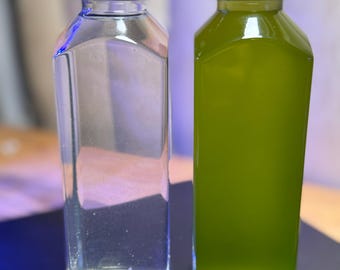 Live Copepods and Phytoplankton Culture