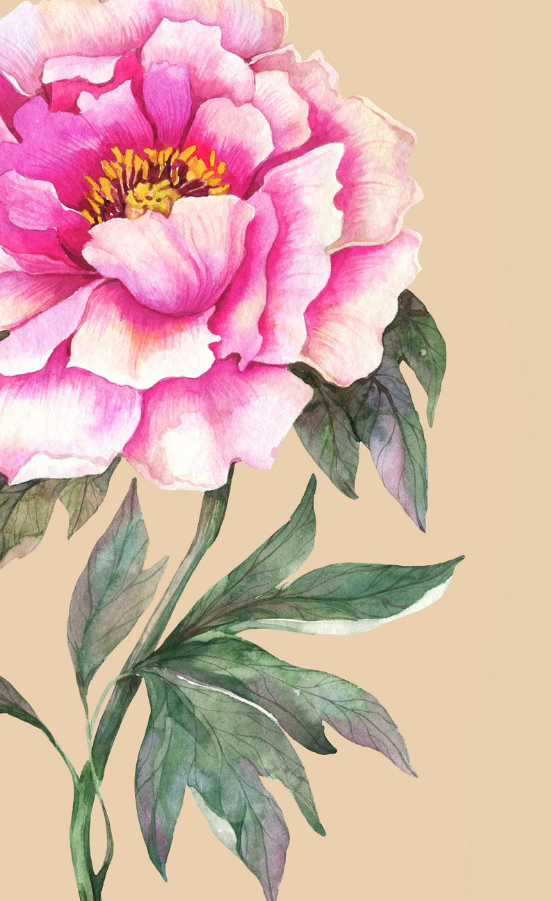 Botanical Print Set Peonies Wall Art Flower Poster Peonies | Etsy