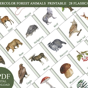 Bosdieren Flashcards, leerkaarten, klaar om af te drukken pdf Dierenkaarten, thuisonderwijs Educatieve afdrukbare voorschoolse werkbladen