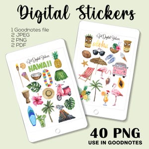 Hawaii Summer Watercolor Stickers: Tropical Planner, GoodNotes (Digital Download, 40 PNG Files)