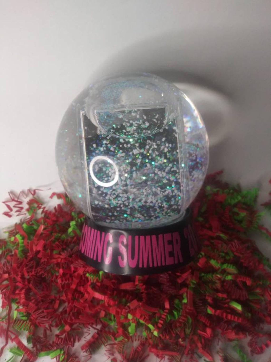Custom Snow Globe with picture/words Etsy