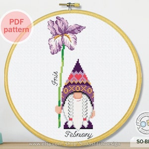 Birth Month Flower, February,Iris Gnome Garden Elf modern instant pdf download counted chart,SO-BF2 'Birth Flower of February' image 1