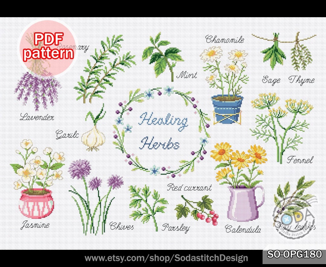 Herb Flower Cross Stitch Patterninstant Pdf Etsy