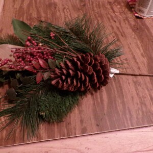 May include: A brown pine cone with red berries and green pine needles. The pine cone is attached to a brown twig.
