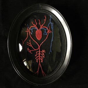 Autopsy of a loving heart for cabinet of curiosity