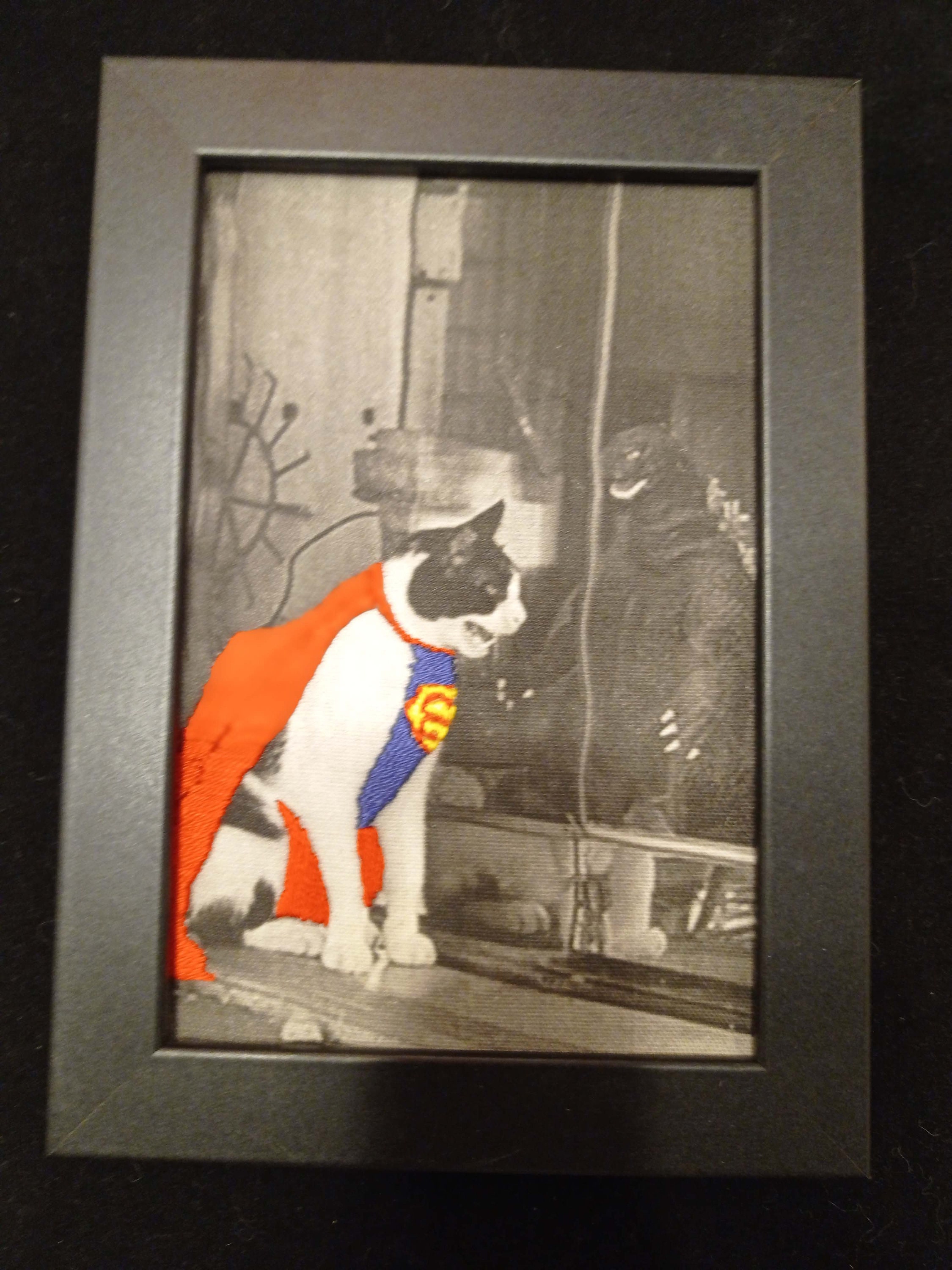 Supercat Contre Godzilla