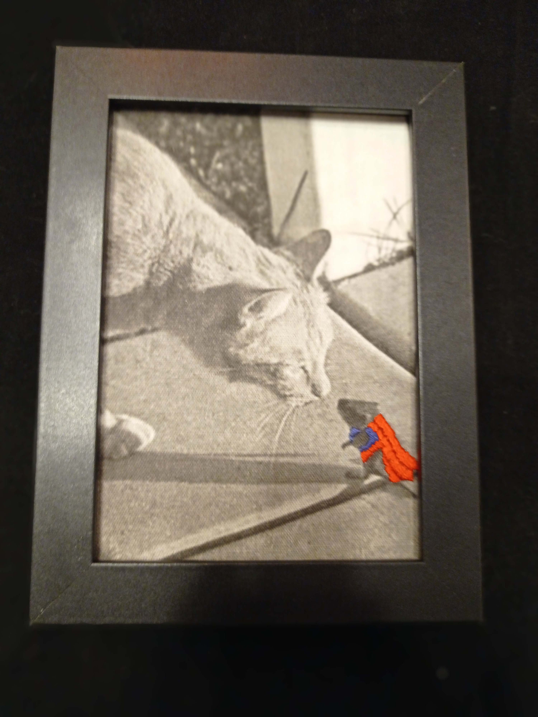 Super Souris Contre Le Chat