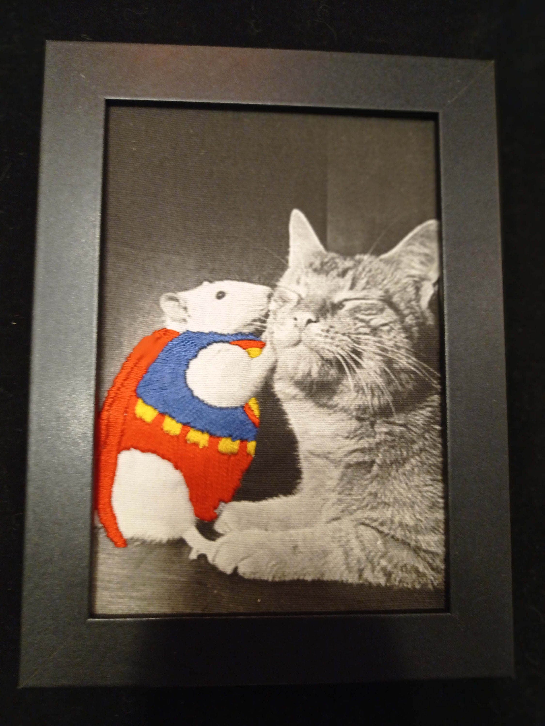 Super Souris Murmure à L'oreille Des Chats