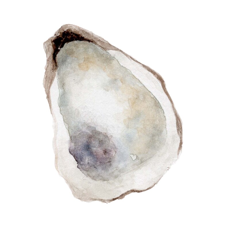 Oyster Watercolor Print. Oyster Art. Watercolor Art Print. | Etsy