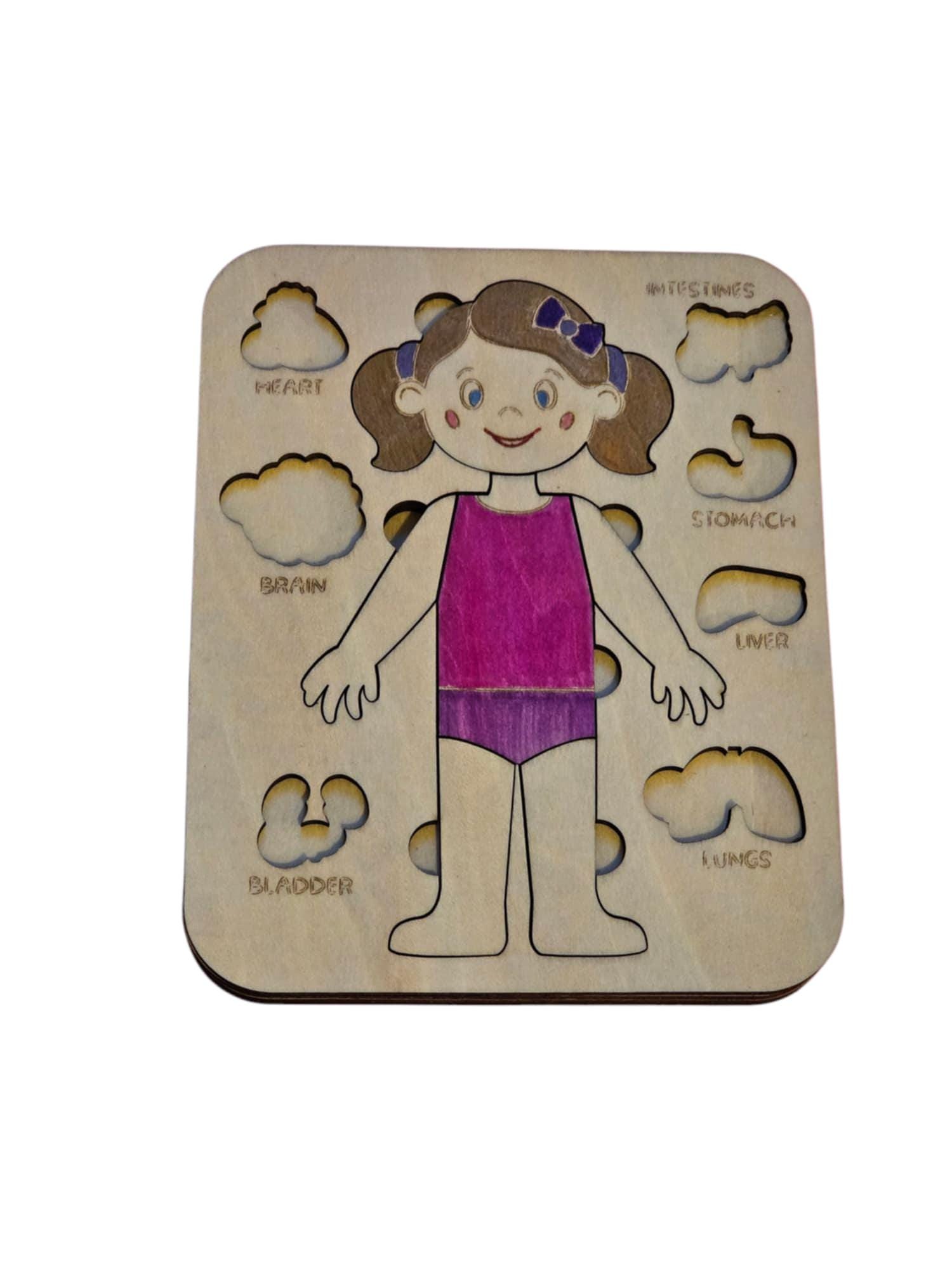 Wooden Anatomy Puzzle – Educational Human Body Toy for Kids - Etsy