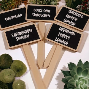 Seed markers  sticks - keep track of all the plants you are growing in your greenhouse Will be easy to read identification plate .