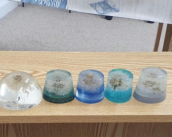 Dandelion clocks paperweights - wild garden - unusual, office gifts- resin wish clock-Christmas gift for mum-nan