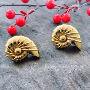 Solid Brass Conch Drawer Pull: Modern Cabinet Knob WMLS804