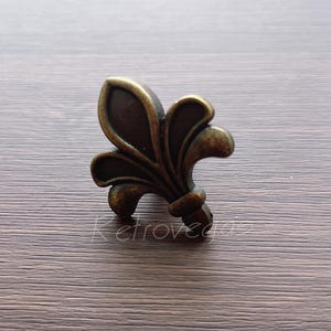 May include: A bronze-coloured metal fleur-de-lis design cabinet knob.