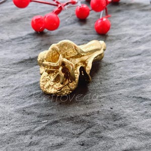 Solid Brass Cabbage Drawer Pull: Modern Cabinet Knob WMLS619