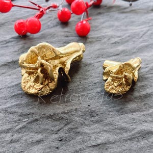 Può includere: Due tiretti per cassetti decorativi a forma di rosa in metallo dorato.