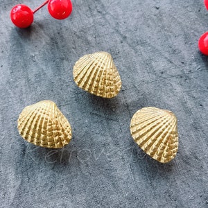 Solid Brass Scallop Drawer Pull: Modern Cabinet Knob