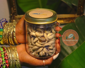 Ocean Blessed Cowrie Shells || 50 - 100 || Olokun - Yemaya || Ethically Sourced ||  Indian Ocean || Curio ||