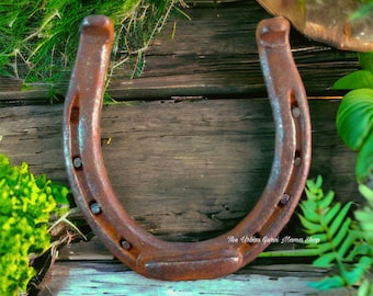 Prepared Ogun Horseshoe|| Protection Talisman|| Blessed & Small Batched || Ward Evil - Repel Witchcraft - Clear Obstacles ||