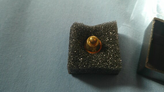 Certified Professional Learning Tree Internationa… - image 3