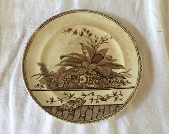 Antique 1861- 1873 C.W. Turner & Sons Brown Transfer Plate - Brazil Pattern