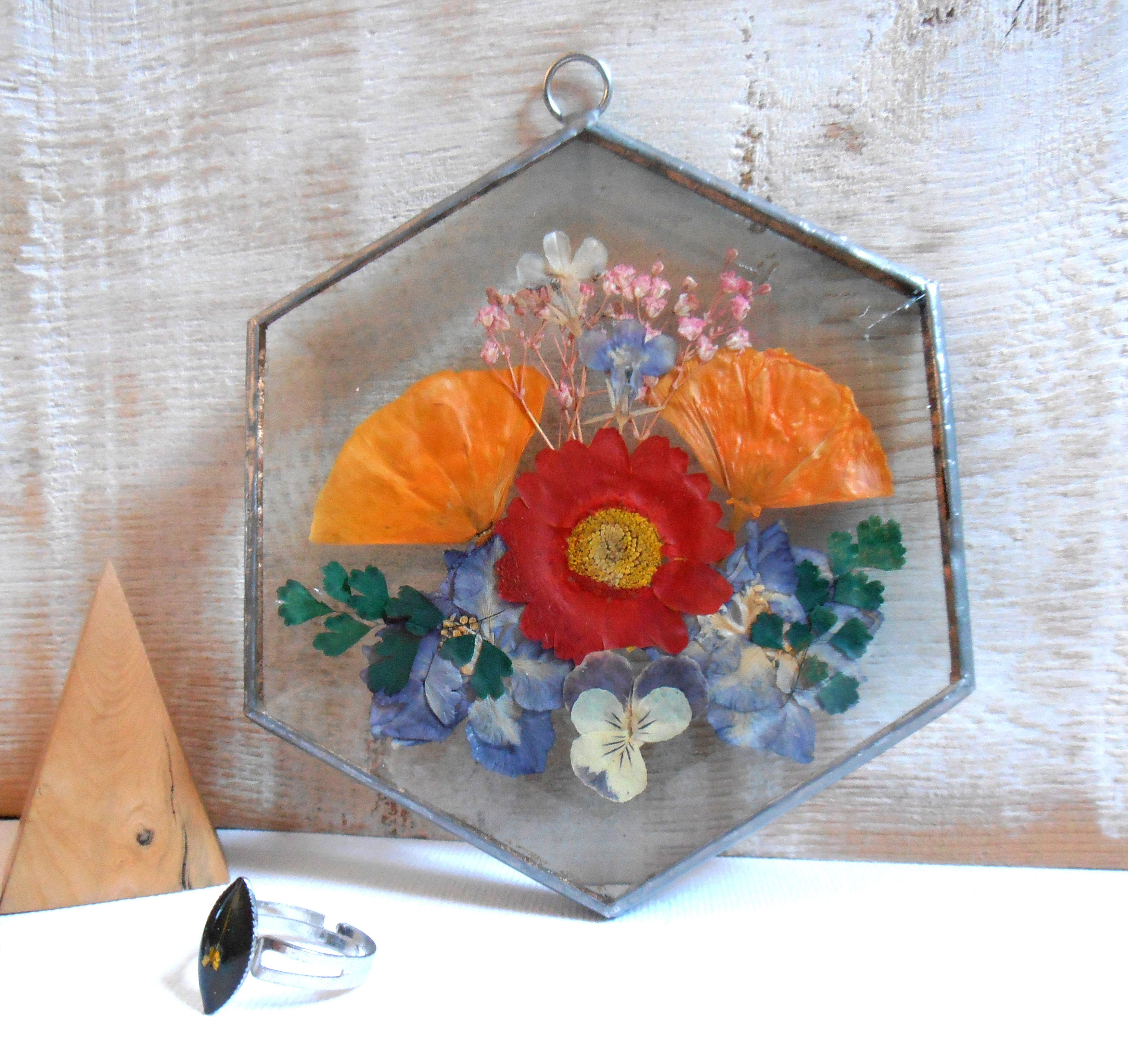 Fleurs Séchées Sous Verre - Décor Mural Vintage Herbier