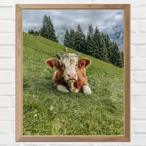 Swiss Cow | Switzerland Travel | Grindelwald First | Switzerland Countryside Digital Print