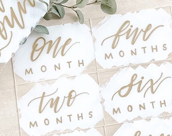 Baby Monthly Milestone Signs, Set Of 13 Acrylic Birth To One Year Signs, Baby Announcement, Baby Photo Social Media, Baby Picture Signs