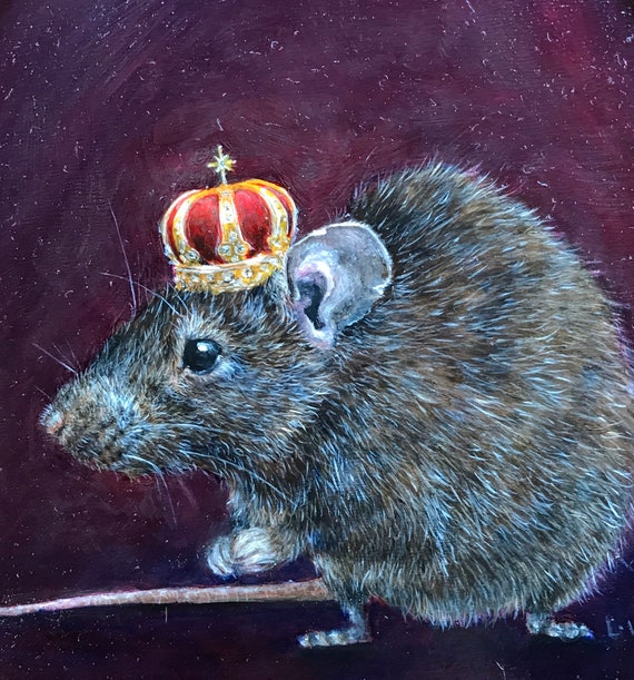 A rat king hi-res stock photography and images - Alamy