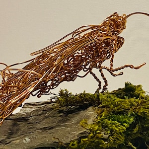 Copper wire art moth sculpture insect