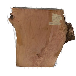 Live Edge Thick Cherry Wood Slab, Thick Cherry Slice, Woodworking Project