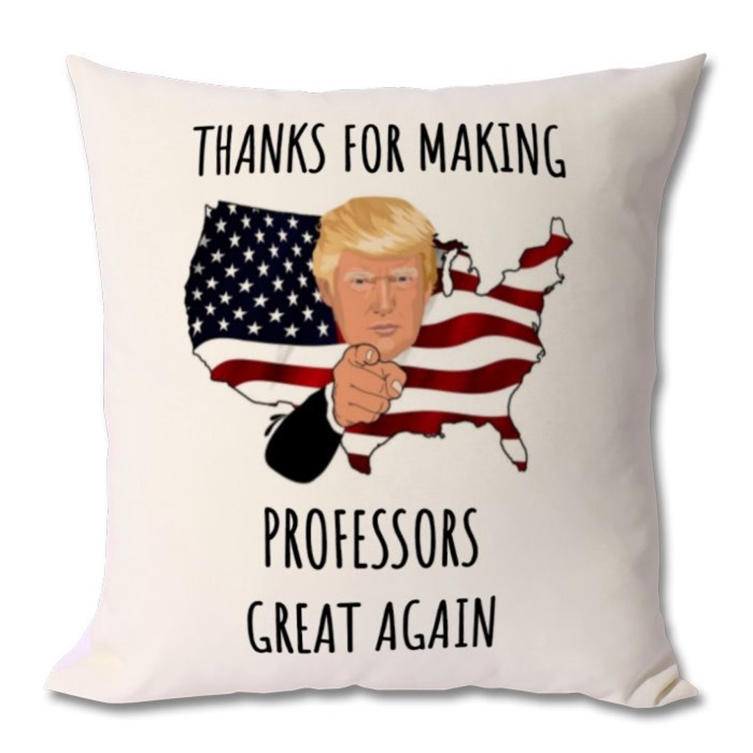 Best Professor Cushion Professor Gift Professor Gift Idea - Etsy