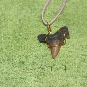 SHARK TOOTH Pendant Necklace (ONE)