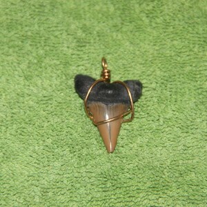 SHARK TOOTH Pendant Necklace (ONE) Option 1 - Brown, Option 2 - Gray Grey