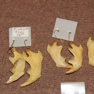 One Pair, Muskrat Jawbone Earrings