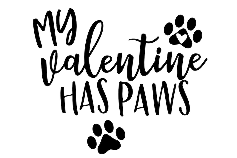 My Valentine Has Paws Svg Valentine Svg Dog love Svg Dog | Etsy