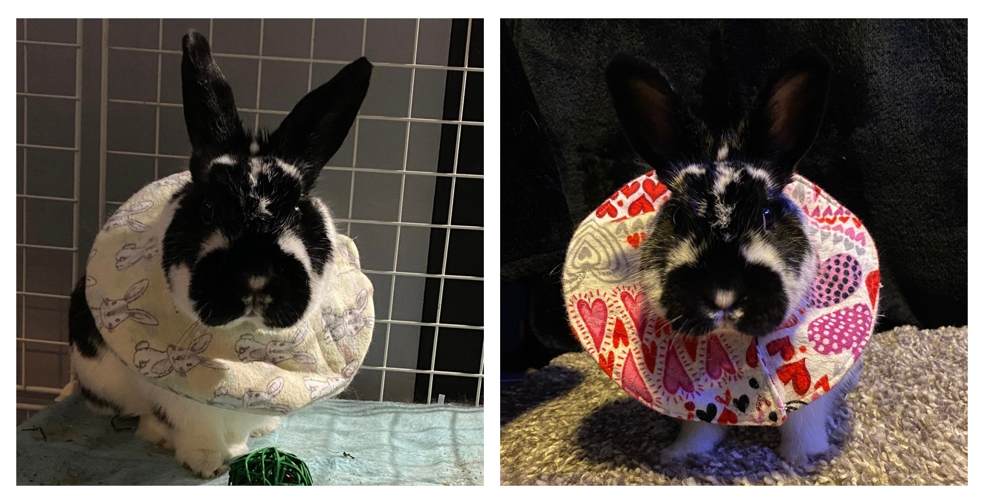 Pet Recovery Collar Ecollar for Rabbits Rabbit Recovery Etsy