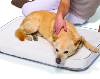 Modern Acrylic Dog Bed with Memory Foam Cushion