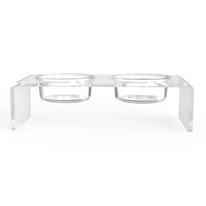 Small Modern Clear acrylic and glass pet feeder