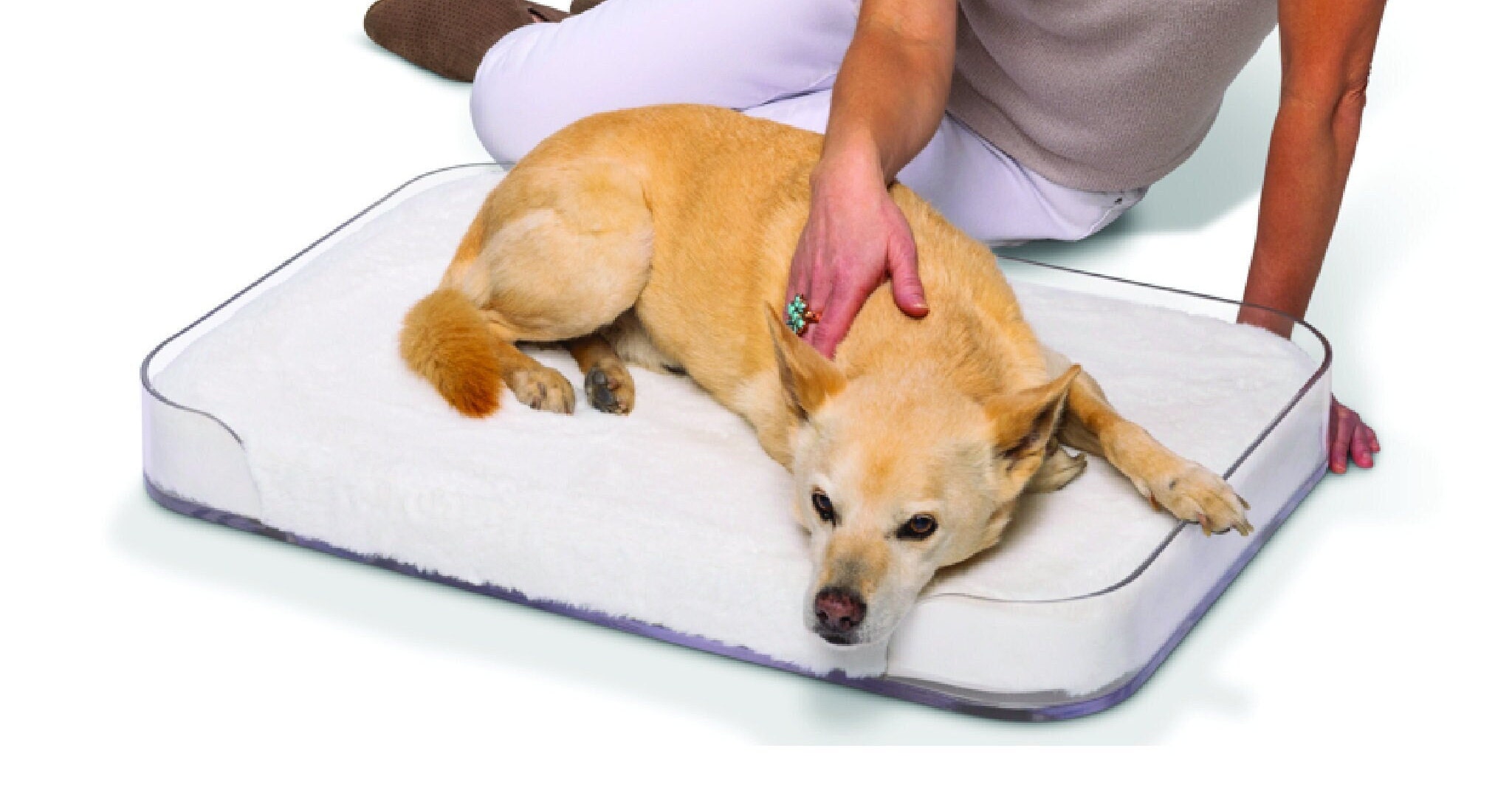 ClearlyLovedPets - Etsy