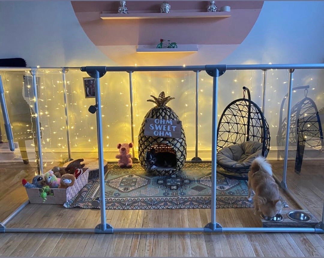 Lucidium Modern Acrylic Dog Pen Large 72w X 48d or 96w X 24d X 36 Height Etsy Canada