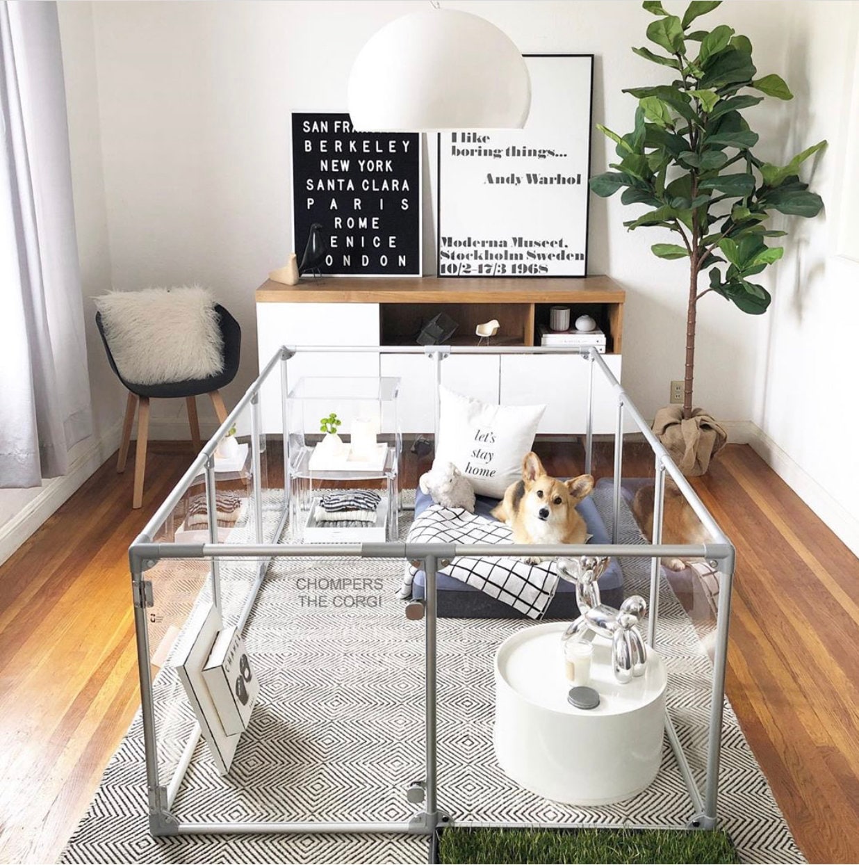 Lucidium Modern Acrylic Dog Pen Large 72w X 48d or 96w X 24d X 27 Height Etsy