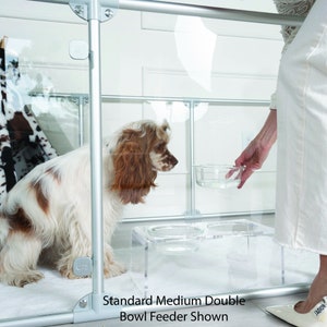 Pu&ograve; includere: Un alimentatore a doppia ciotola in acrilico trasparente con una cornice argentata, contenente due ciotole di vetro. Un cane con pelo marrone e bianco &egrave; all'interno. Il testo recita "Standard Medium Double Bowl Feeder Shown."