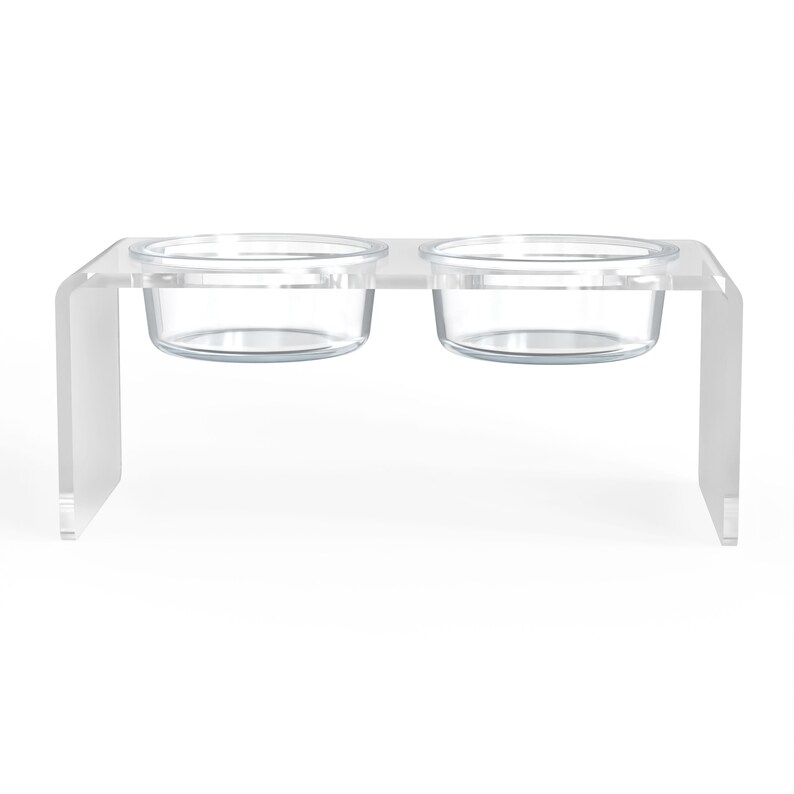 Medium Modern Clear acrylic and glass pet feeder