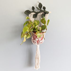 Macrame Wall Plant Hanger, Macrame plant display, wall plant hanger, indoor plant hanger, plant hanging wall art, fiber art, nursery decor