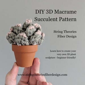 May include: A hand holds a small potted succulent plant made with macrame string. The plant is green and has pink accents. The pot is terracotta. The image includes the text "DIY 3D Macrame Succulent Pattern" and "String Theories Fiber Design".