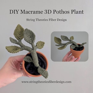 Könnte beinhalten: Eine DIY-Makramee-3D-Pothos-Pflanze von String Theories Fiber Design. Das Handwerk besteht aus olivgrünen, geknoteten Kordelblättern und Stielen, die in einem kleinen terrakottafarbenen Topf mit schwarzer Faser angeordnet sind, aus zwei Winkeln.