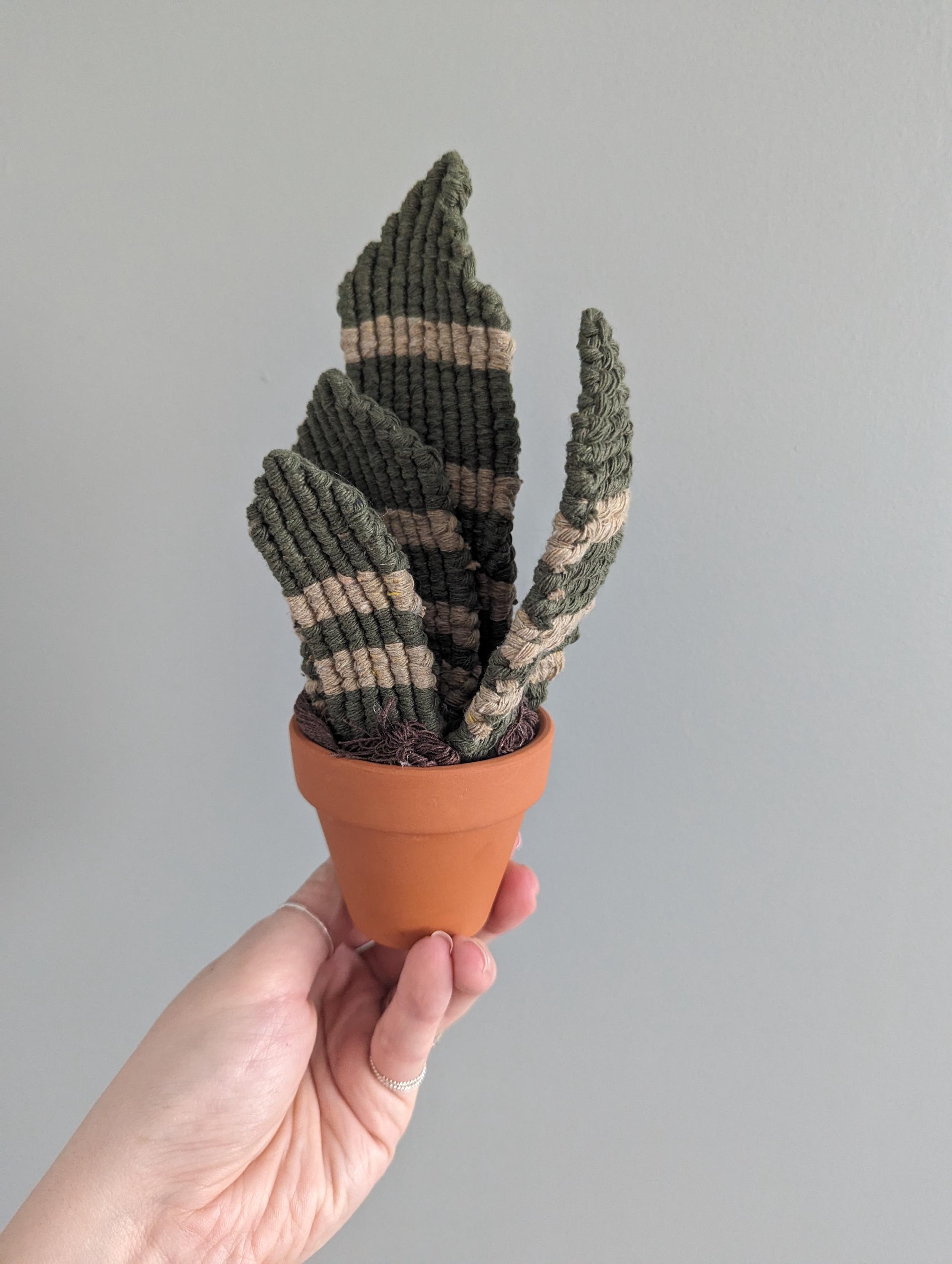 DIY Pattern Macrame 3D Snake Plant Instructions, Macrame Tutorial PDF ...