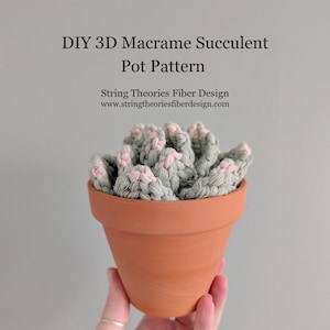 May include: A handmade macrame succulent in a terracotta pot. The succulent is gray and pink, and the pot is a warm orange-brown. Text on the image reads "DIY 3D Macrame Succulent Pot Pattern" and "String Theories Fiber Design".