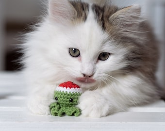 Pulpo disfrazado de fruta con hierba gatera, pulpo valeriana, juguete con hierba gatera, juguetes para gatos, juguetes lindos para gatos, los mejores juguetes para gatos, juguete kiwi para gatos